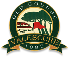 Logo Valescure couleur